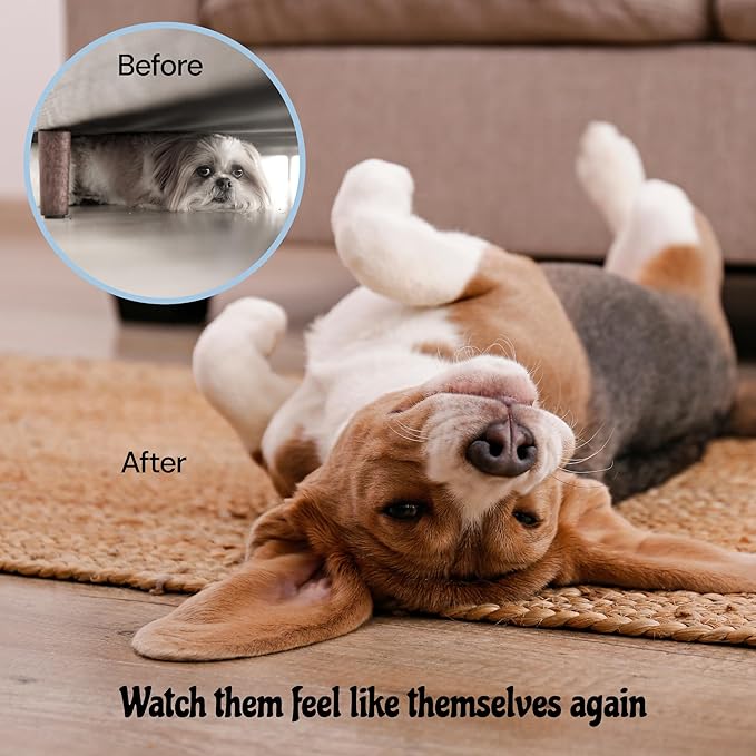 MalsiPree Calming Chews for Dogs - 145 pcs Chicken - Helps Regulate Mood - Relief Treats - No Sedative Effect - Freeze Dried - with Passion Flower & Melatonin