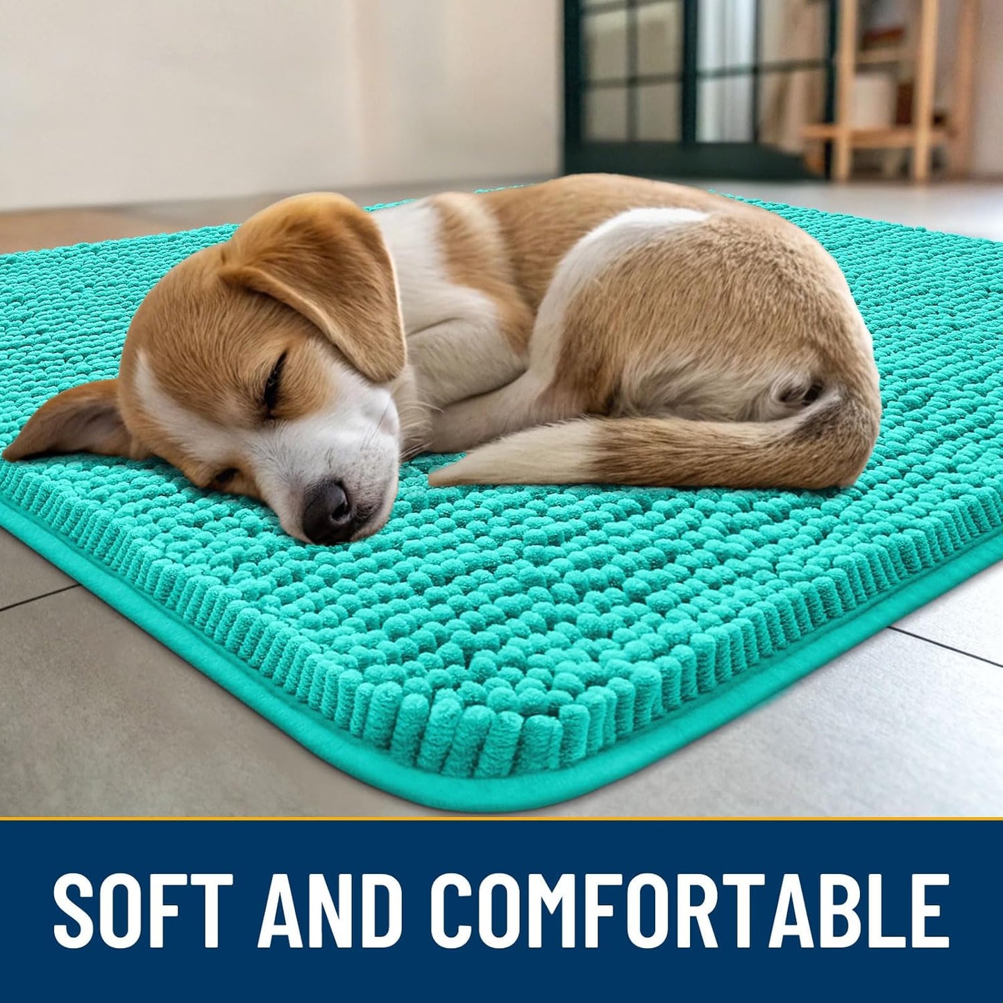 Smiry Dog Door Mat for Muddy Paws 30x20, Absorbs Moisture and Dirt Doormat, Non-Slip Washable Quick Dry Chenille Front Door Mat Indoor Entrance, Entryway Carpet for Inside Floor, Teal