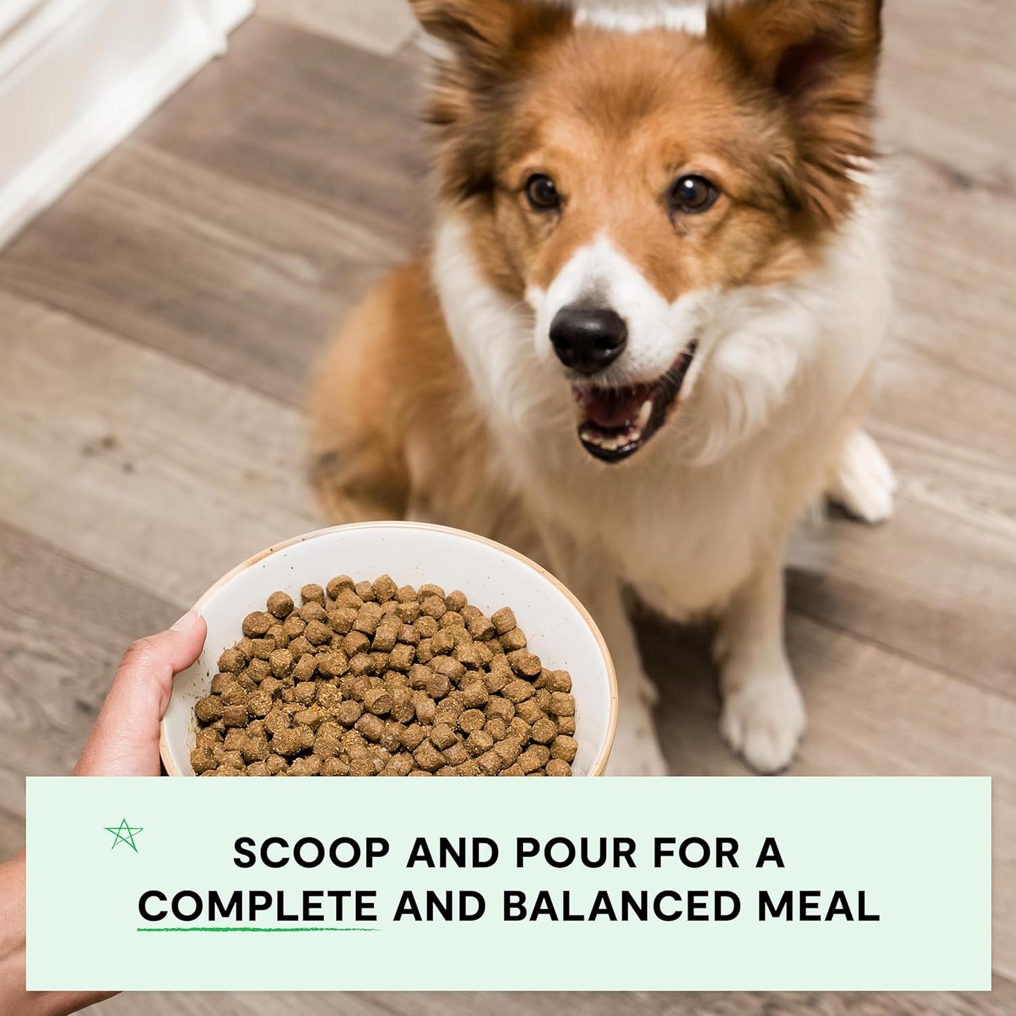 Open Farm, Grain-Free Dry Dog Food, Complete & Balanced Kibble, Sustainably & Ethically Sourced Ingredients, Non-GMO Veggies & Superfoods to Support Overall Health, Turkey and Chicken Recipe, 4lb Bag