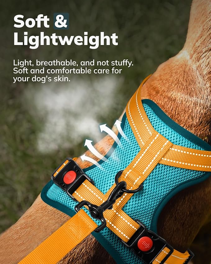 MIDOG No-Pull Dog Harness | Adjustable & Reflective Pet Harness Leash Set for Small Medium Large Dogs Walking, Training| No Choke, Front Clip, Soft Padded Vest with Easy Control Handle - Blue, S