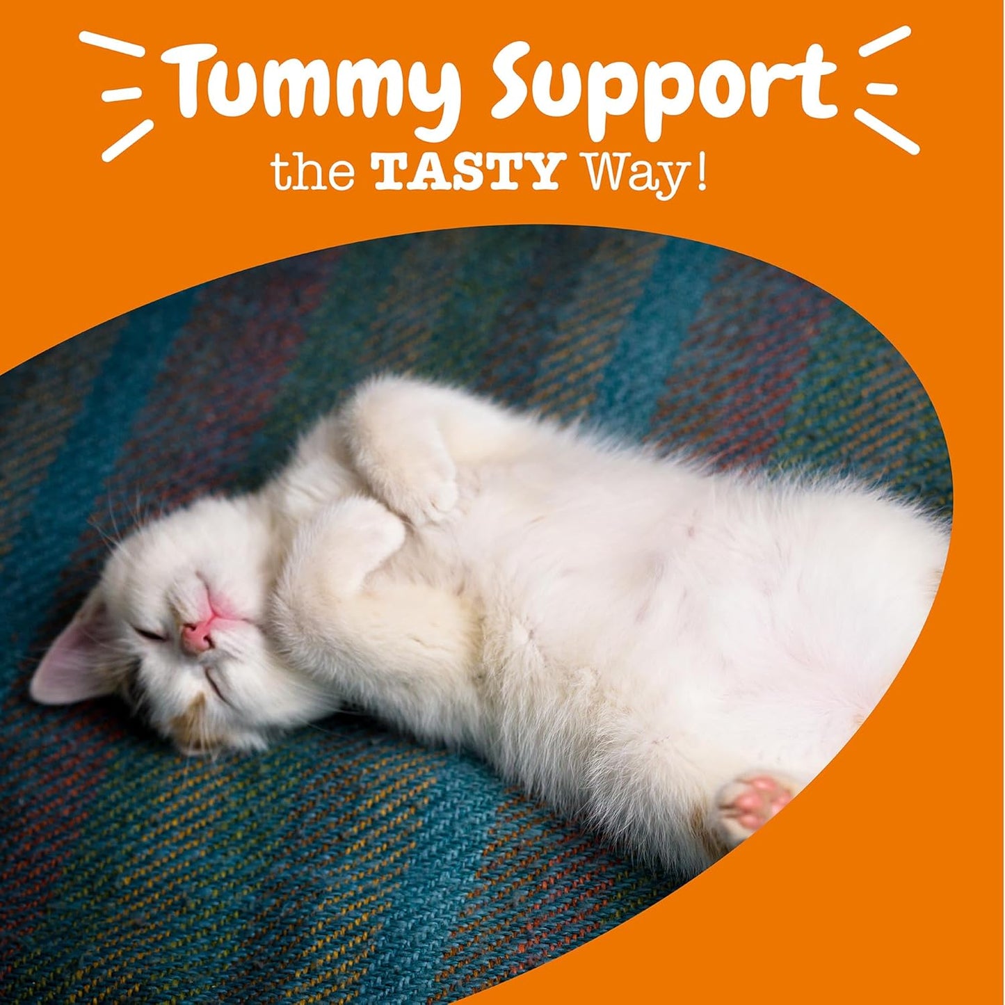 Zesty Paws Probiotic Bites for Cats - Gut Flora & Immune System Support - Cat Supplement with DE111 Bacillus subtilis - Pet Soft Chews with Probiotics & Prebiotics for Digestive Health - 60 Count