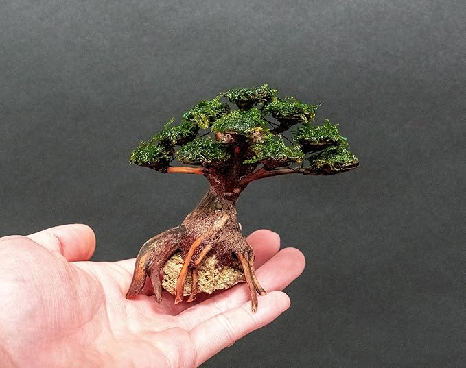 Live Aquarium Plants on Driftwood, Lava Rock, Moss, Fiber Mat - Freshwater Fish Tanks - Easy, Beginner Friendly (Moss on Bonsai Tree, (Small))