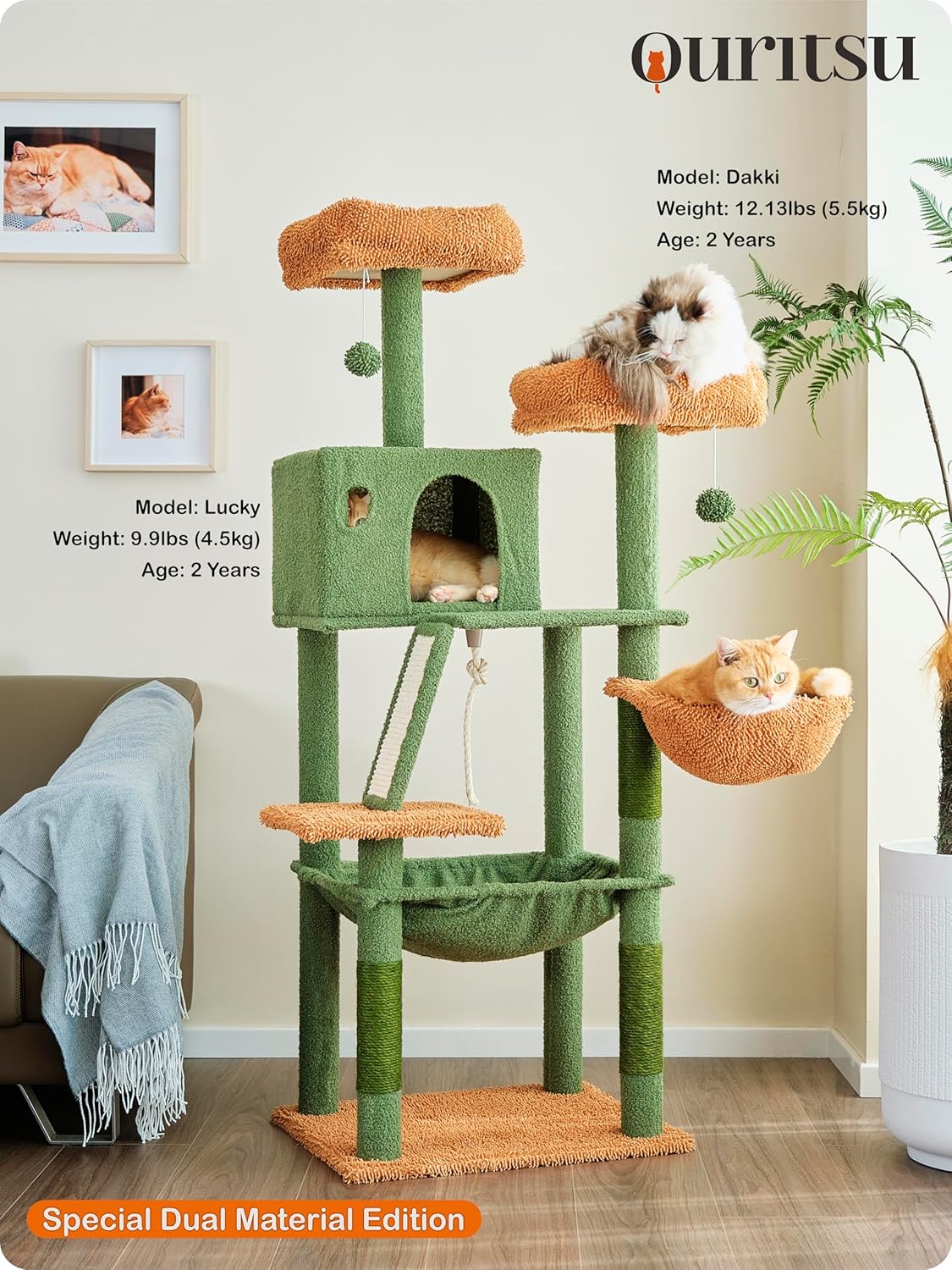 Ouritsu Cat Tree, 56 inch Tall Cat Tower for Large Cat Indoor, Large Condo, 2 Padded Perches, Steel-Framed Hammock, Scratching Post and ramp, Fluffy Basket, Green, LF001GB