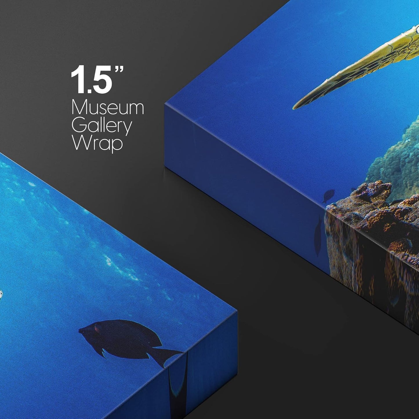 wall26 Canvas Print Wall Art Vibrant Ocean Underwater Swimming Turtle Nature Animals Photography Realism Rustic Scenic Landscape Wilderness Earth Colorful for Living Room, Bedroom, Office - 12"x18"