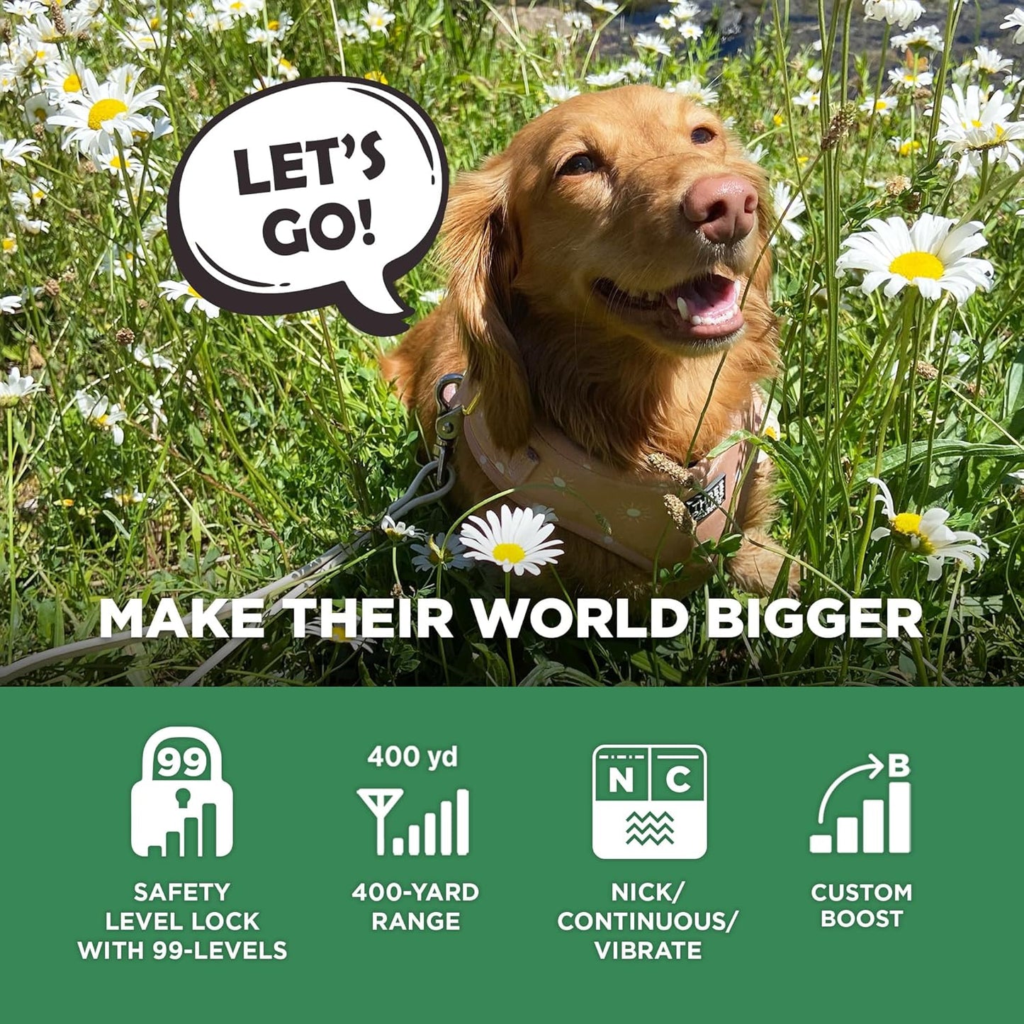 Dogtra CUE Gen 2 Grey – Customizable E-Collar for Dogs Training Collar with Remote – Easy, Safe, Beginner-Friendly Design – 99 Levels, Vibration, Boost, Waterproof, Rechargeable, 400-Yard Range