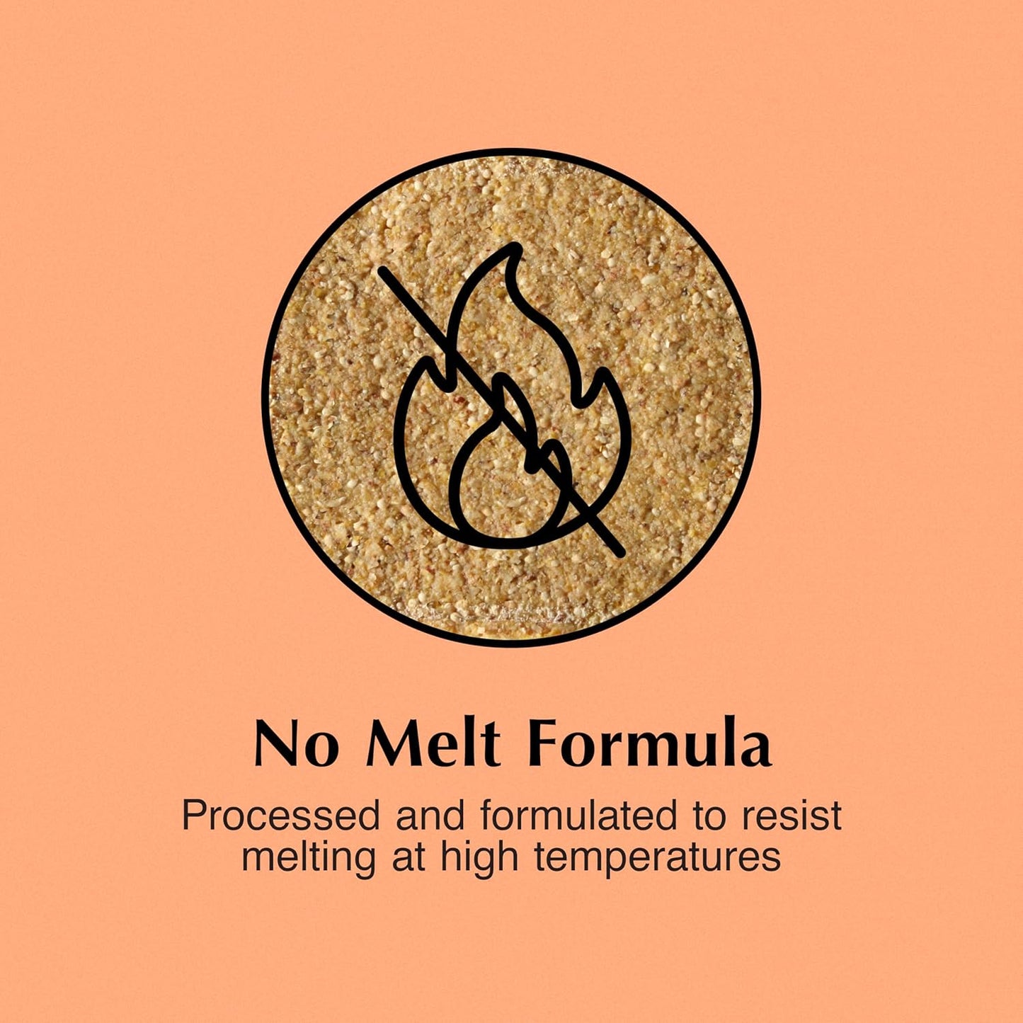 C&S Pecan Delight No Melt Suet Dough 11.75 Ounces 8 Pack