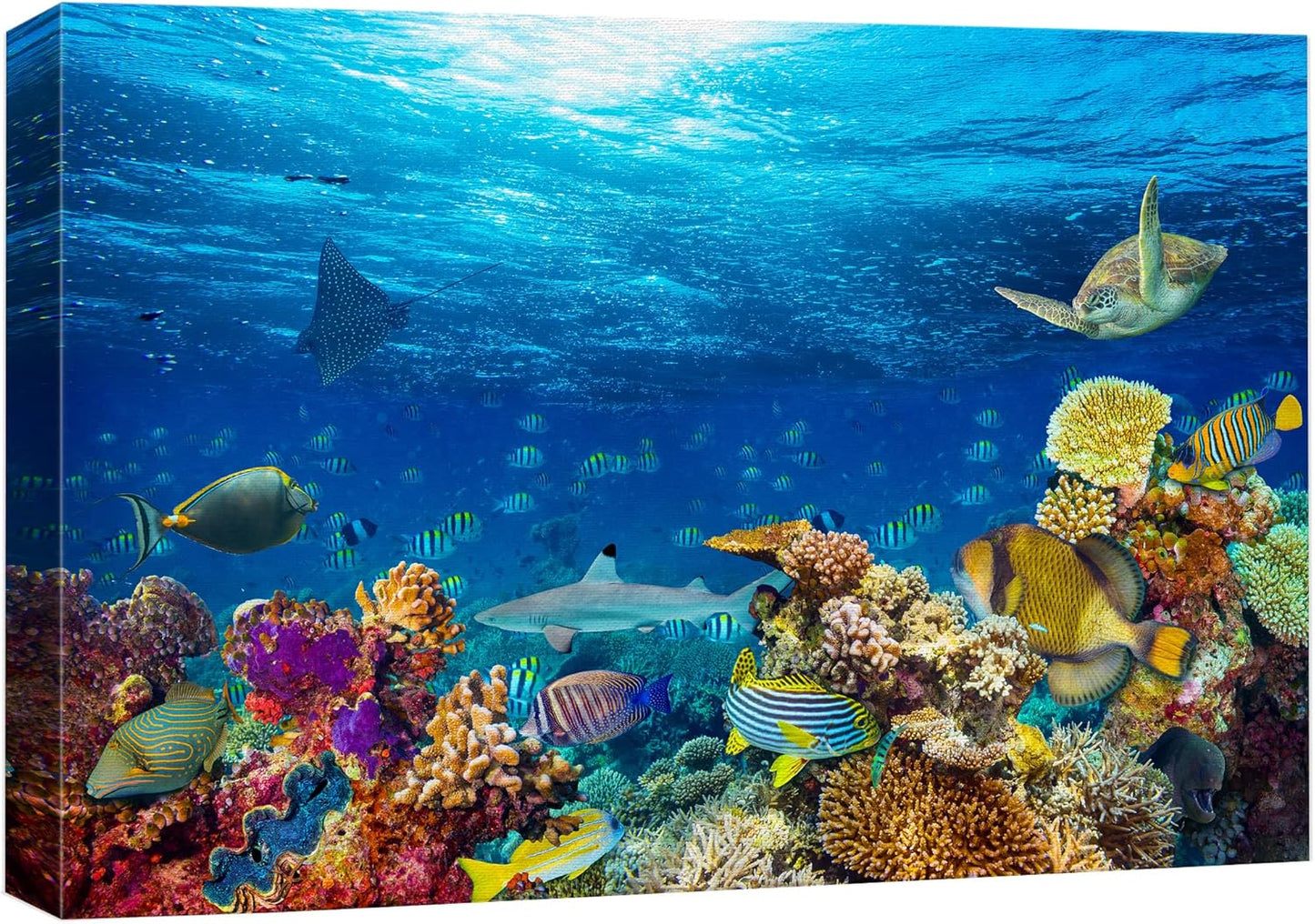 wall26 Canvas Print Wall Art Vibrant Sunshine Ray Coral Reef Turtle Fish Nature Animals Photography Realism Rustic Scenic Landscape Wilderness Colorful for Living Room, Bedroom, Office - 16"x24"