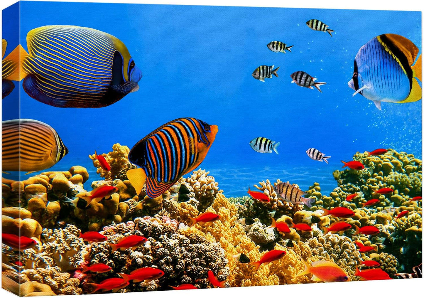 wall26 Canvas Print Wall Art Tropical Island Underwater Fish Red Anemone Nature Animals Photography Realism Rustic Scenic Landscape Wilderness Colorful for Living Room, Bedroom, Office - 24"x36"