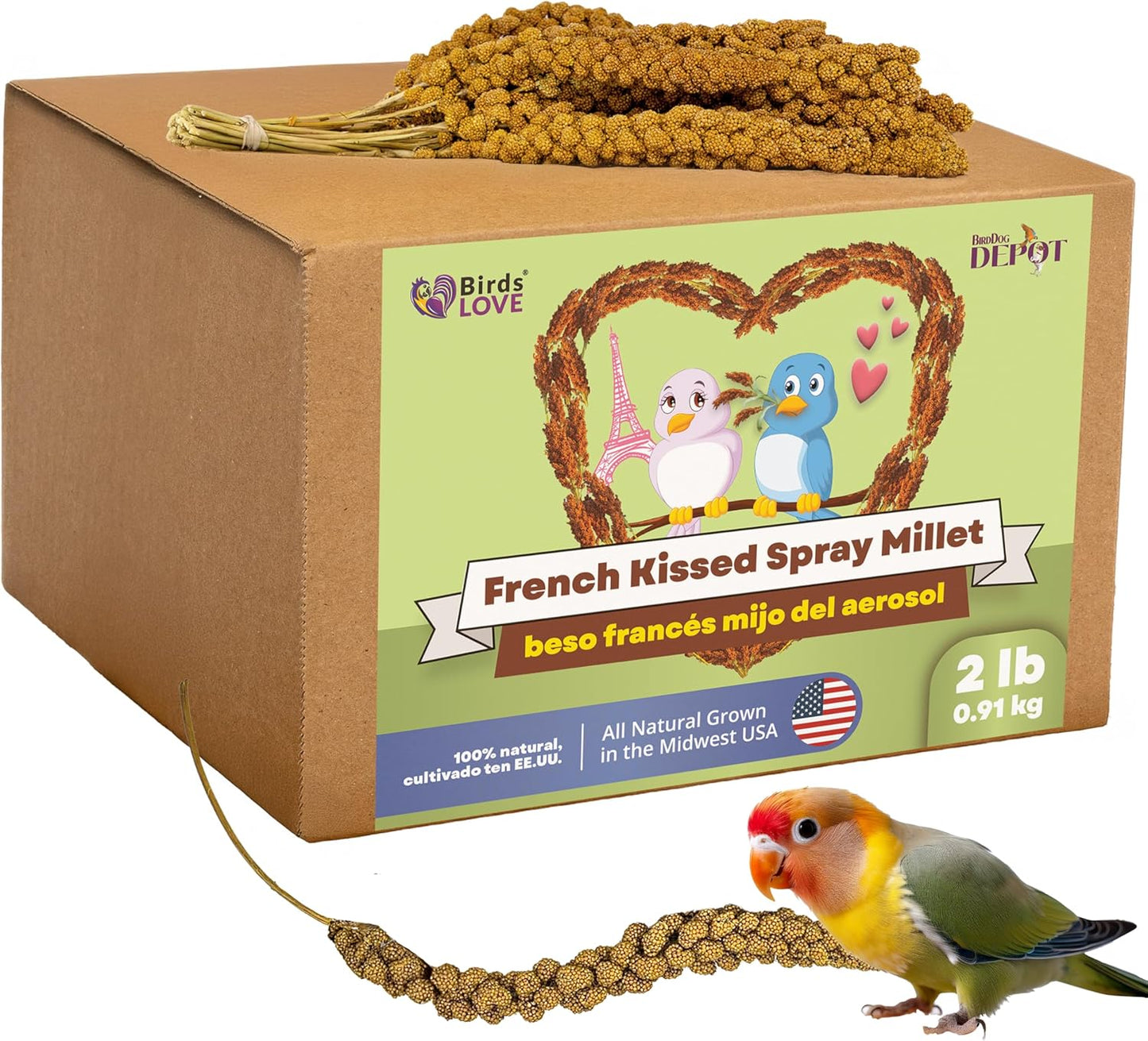 Birds LOVE French Kissed Spray Millet for Birds - Parakeets, Cockatiels, Lovebirds, Finches, Budgies, Canaries, Cockatoos - Natural & Healthy Bird Millet - Parakeet Food & Treats for All Parrots 2lbs