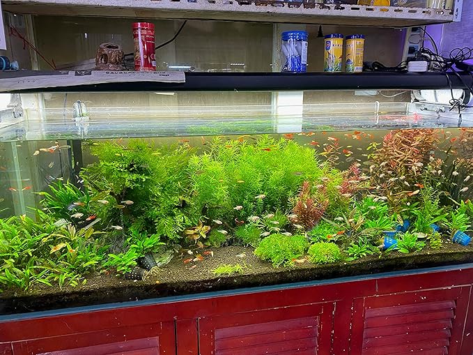 Landen Aqua Soil Substrate for Natural Planted Aquarium, Plant or Shrimp Stratum, Clay Gravel and Stable Porous Substrate for Freshwater Aquarium, Black Color 40lbs