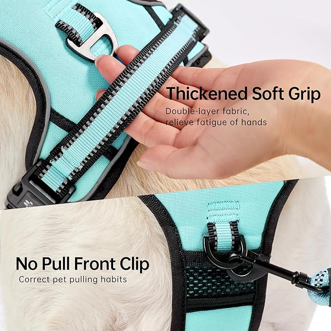 NESTROAD No Pull Dog Harness,Adjustable Oxford Dog Vest Harness with Leash,Reflective No-Choke Pet Harness with Easy Control Soft Handle for Large Dogs(X-Large,Turquoise)