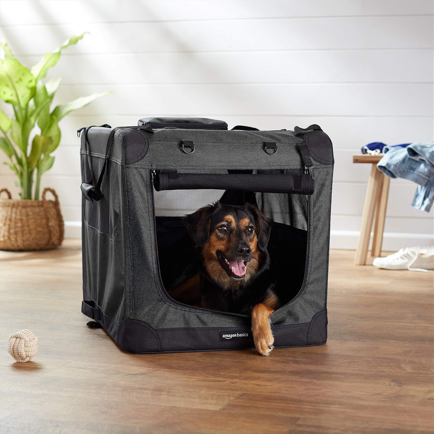 Amazon Basics Folding Portable Soft Pet Dog Crate Carrier Kennel, 30 x 21 x 21 inches, Black