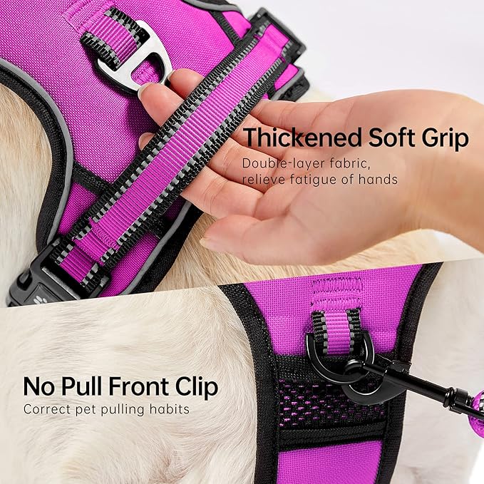 NESTROAD No Pull Dog Harness,Adjustable Oxford Dog Vest Harness with Leash,Reflective No-Choke Pet Harness with Easy Control Soft Handle for Large Dogs(Large,Fuchsia Pink)