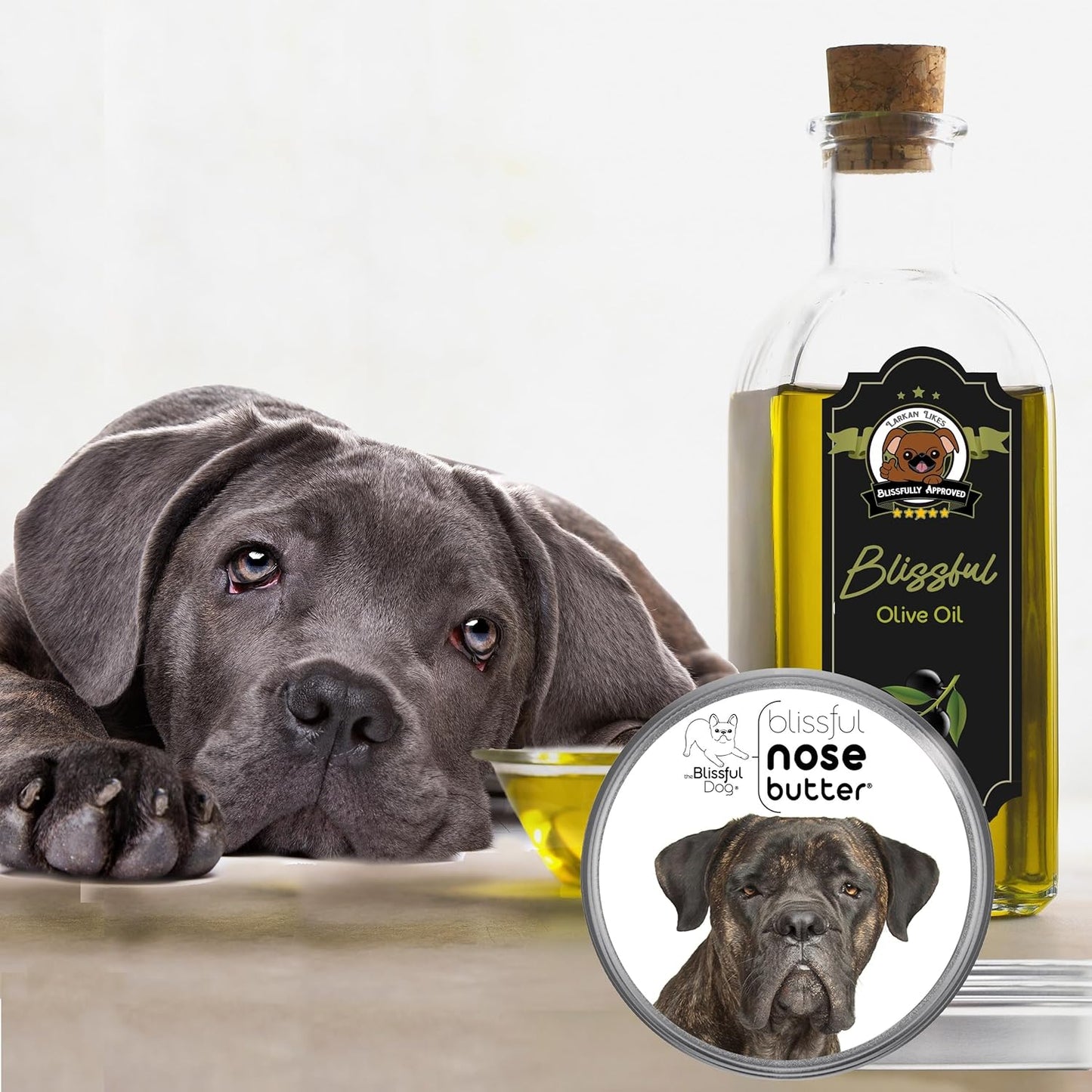 The Blissful Dog Cane Corso Nose Butter for Dry, Cracked Skin, Lick-Safe Dog Nose Balm with Moisturizing Shea Butter, Almond, Olive, and Essential Oils, Pet Supplies, Uncented, 1 oz.