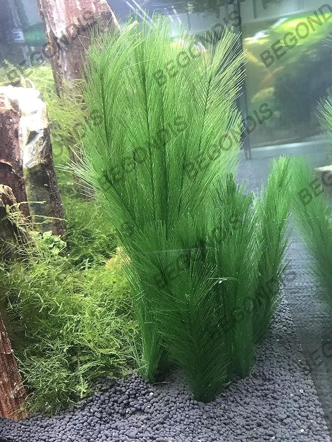 BEGONDIS Aquarium Decorations 3Pcs Fish Tank Artificial Green Water Plants Made of Silk Fabrics Plastic