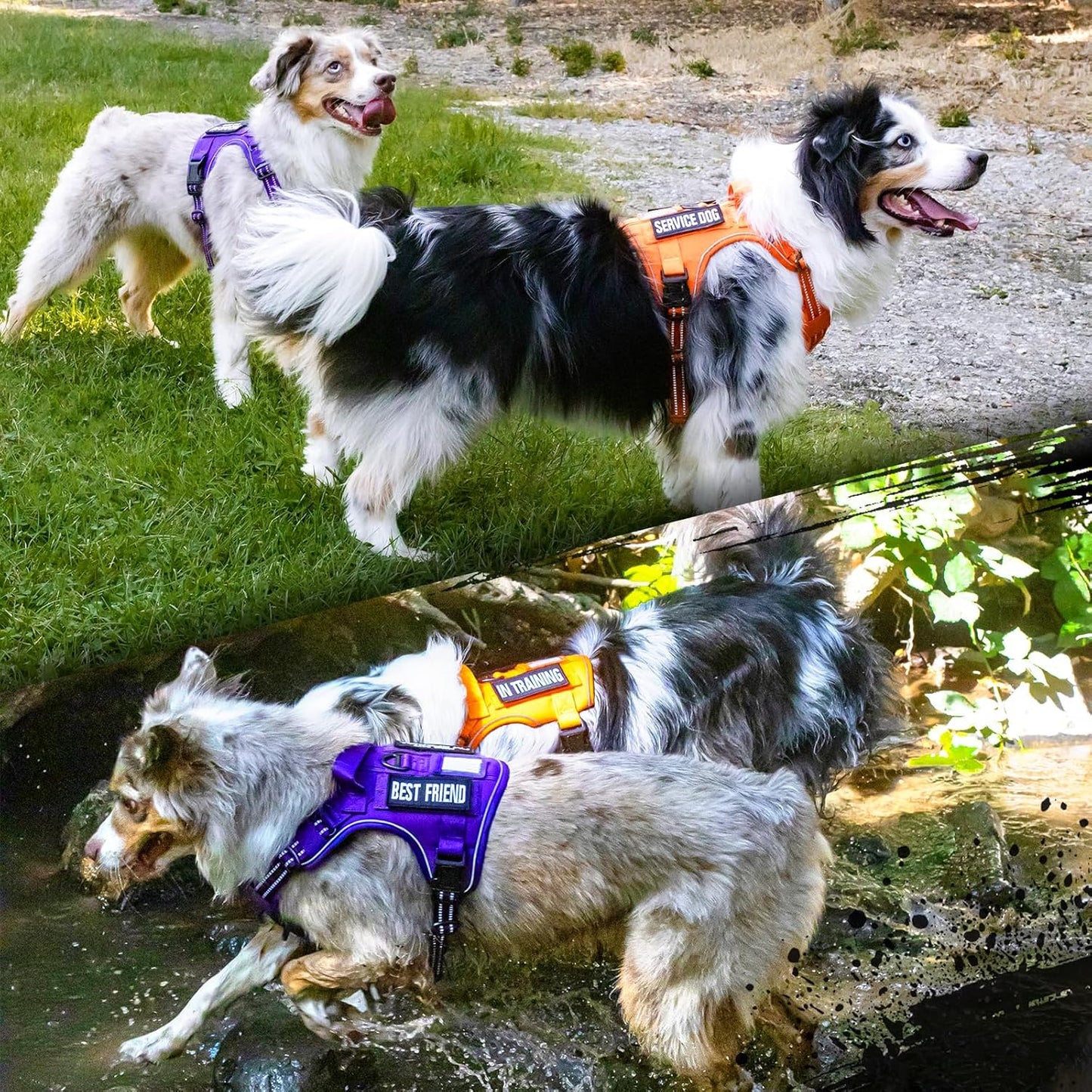 rabbitgoo Tactical Dog Harness for Large Dogs, No Pull Military Service Vest with Handle & Molle, Easy Control for Training Walking, Adjustable Reflective Straps, Orange, XL