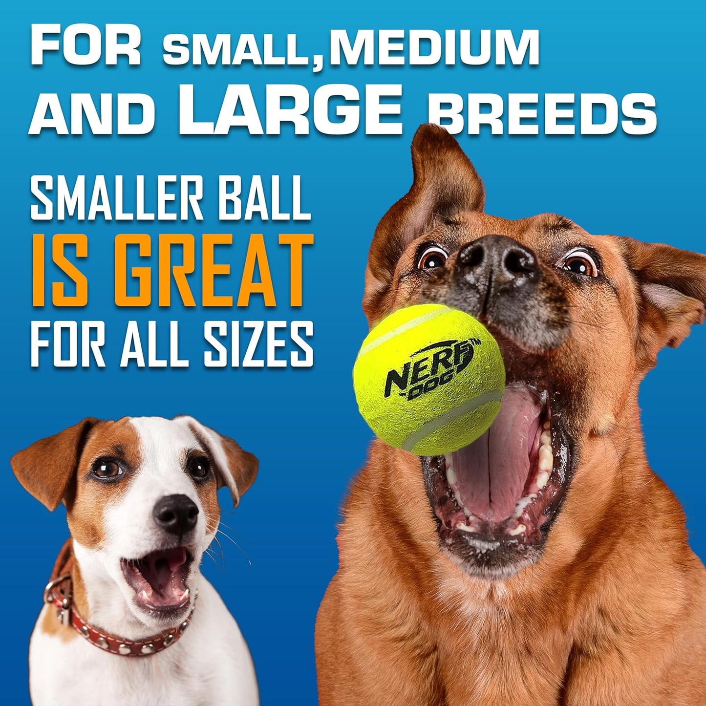 Nerf Dog Tennis Ball Blaster Dog Toy Gift Set, Tennis Ball Dog Fetch Toy Launches up to 50 ft, Dog Ball Thrower for All Breeds Includes Translucent Blue Tennis Ball Launcher and 3 Dog Tennis Balls