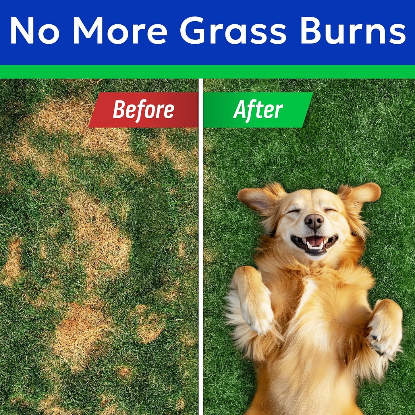 BARK&SPARK Green Grass Chews - Pee Grass Spot Saver Caused by Dog Urine - Urine Neutralizer for Lawn, Gut Health Probiotics & Digestive Enzymes,Lawn Burn from Dog Urine, Grass Burn Spot Chews, Rocks