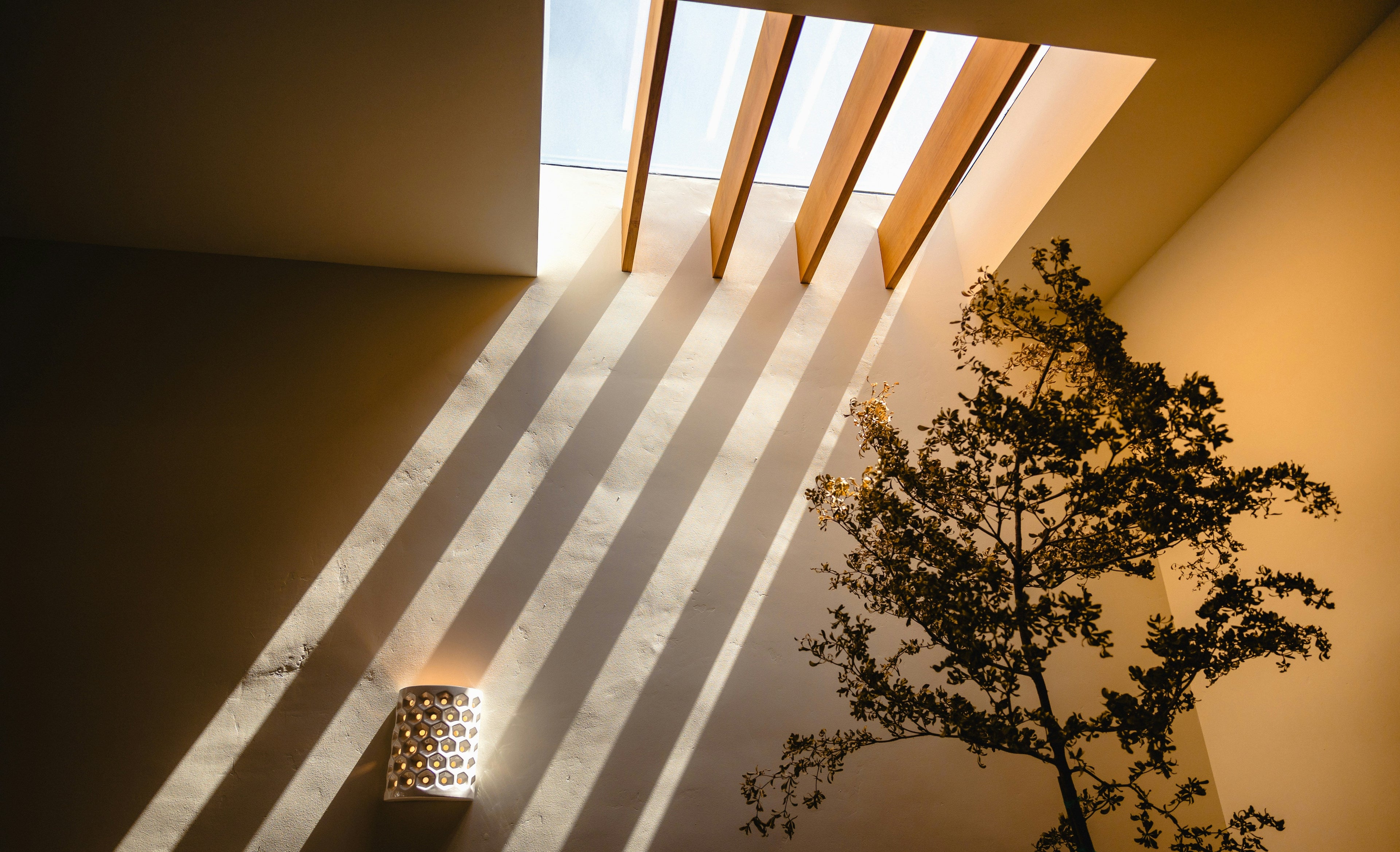 Warm sunlight casting elegant shadows in a luxury interior space, creating a calm premium atmosphere for OpulentPaws